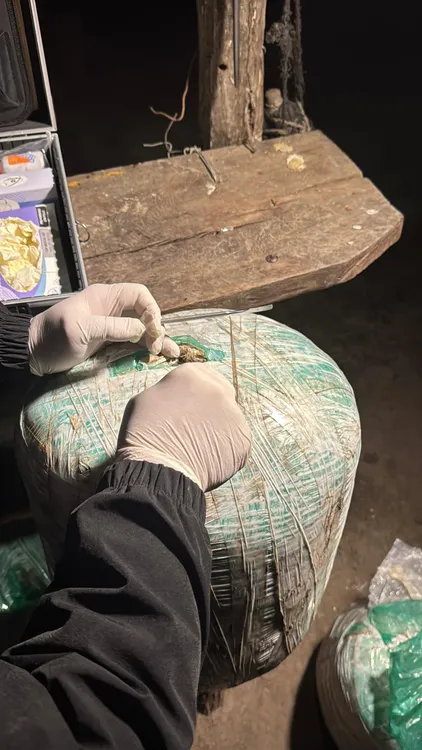 WhatsApp Image 2025-06-27 at 21.28.54 (3)