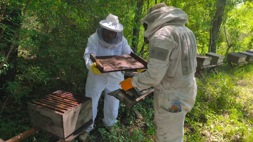 WhatsApp Image 2025-11-28 at 19.26.32