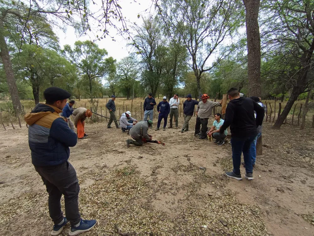 WhatsApp Image 2025-09-02 at 17.59.23