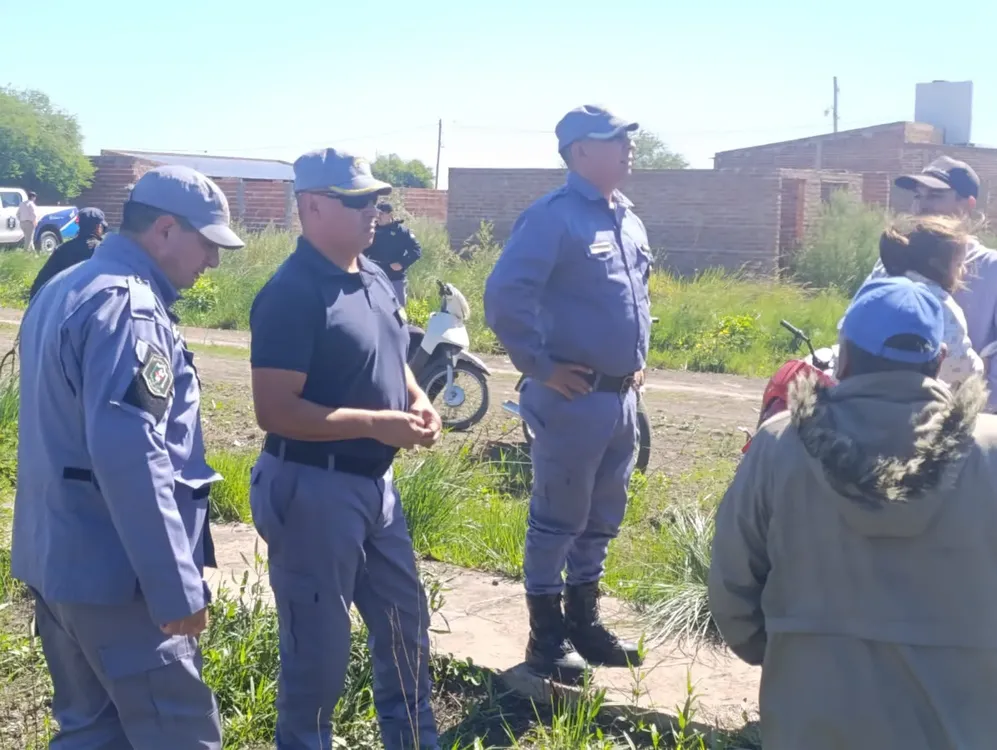 WhatsApp Image 2025-04-04 at 16.53.04