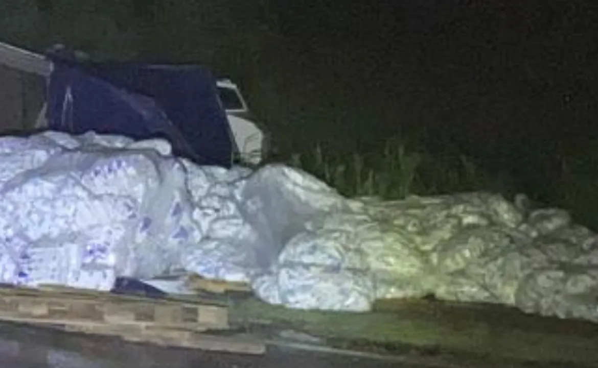 WhatsApp Image 2025-04-07 at 07.22.06 (1)