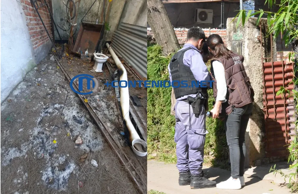 multimedia.normal.bfd6346ab92bfaa9.V2hhdHNBcHAgSW1hZ2UgMjAyNC0wNi0wNyBhdCAxNy5fbm9ybWFsLndlYnA=