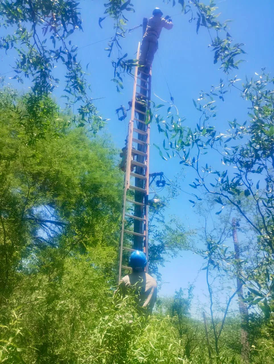 WhatsApp Image 2024-11-29 at 17.03.57